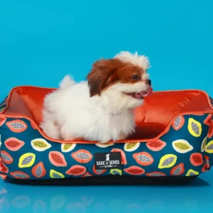 BNB Papaya Dog Bed- Lounger Bed